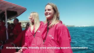 Rottnest Express Adventure Boat Tour [upl. by Lajet]