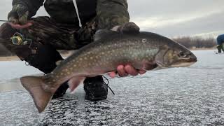 Catching Big Brook Trout under the ice [upl. by Akiaki972]