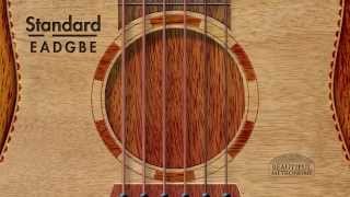 Acoustic Standard E A D G B e  GUITAR TUNER [upl. by Kelci640]