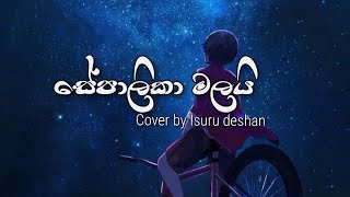 SEPALIKA MALAI  සේපාලිකා මලයි  ISURU DESHAN  COVER SONG [upl. by Jamison]