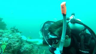 AyangueEcuador  Scuba Diving [upl. by Ahsoym996]