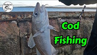 Bait fishing for COD  South Shields Pier [upl. by Drucy188]