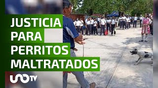 Marchan en Juchitán por perros maltratados en secundaria [upl. by Lanuk]