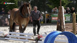 Kaltblutrennen in Mützenich [upl. by Notsgnik]