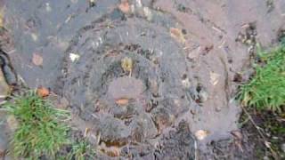 Achnabreck Prehistoric Rock Carvings Kilmartin Glen [upl. by Rollin399]