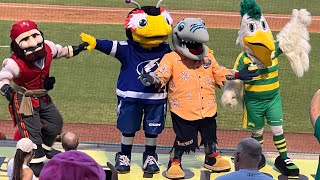 Clearwater Threshers mascot Phinley Birthday party Philadelphia Phillies Single A Team [upl. by Reppep]