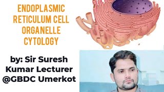 Endoplasmic reticulum strcuture and function Endoplasmic reticulum class 11Urdu ProSuresh Kumar [upl. by Snilloc]