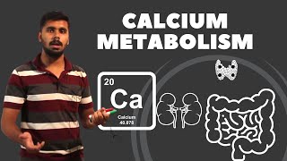 LOCOMOTOR MODULE Calcium MetabolismParathyroid Calcitonin Vit D Osteoclast Osteoblast [upl. by Ellenehs85]