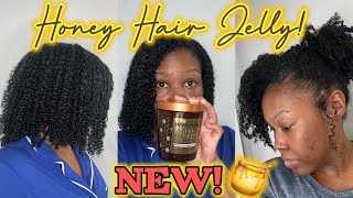 Using NEW Garnier Whole Blends HAIR HONEY JELLY On My Natural Hair  Demo amp First Impressions [upl. by Yzzo]