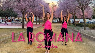 Luis Fonsi La Romana Zumba Bachata por Maria Carvajal luisfonsi bachata zumba laromana [upl. by Hgielrebma192]