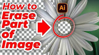 How to Erase Part Of An Image In Illustrator  Make Transparent Background in Adobe Illustrator [upl. by Nnylharas]