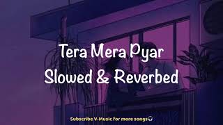 Tera Mera Pyar Slowed amp Reverbed  Kumar Sanu  Nimrat Bhanujeet  VMusic [upl. by Revkah97]