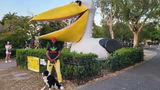 Noosaville Queensland Australia  Noosa Walking Tour with Ambient Sounds [upl. by Cole]