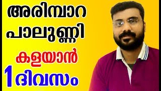 അരിമ്പാറ  പാലുണ്ണി 1 ദിവസം കൊണ്ട് മാറ്റം How To Get Rid Of Warts NEW [upl. by Herve]