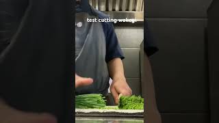 test cutting wakegi shorts fyp subscribe subscribers kitchen salingsubscribeyoutube [upl. by Matthiew]