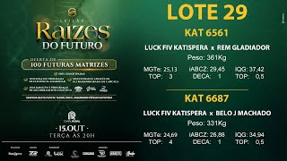 LOTE 29 [upl. by Ewnihc]