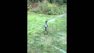 Motion Activated Sprinkler [upl. by Duval619]