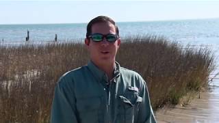 Texas Fishing Tips Fishing Report April 26 2018 Baffin Bay Area With CaptGrant Coppin [upl. by Eusadnilem]