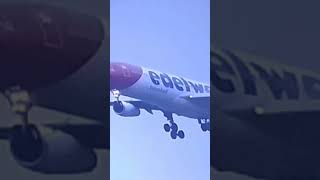 Edelweiss Landing at Amsterdam Schiphol Airport like and subscribe BONG BARIZO TV shorts [upl. by Friedly119]