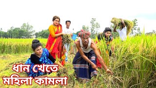 তাঁরছেরা ভাদাইমার অস্থির হাসির কৌতুক ধান খেতে মহিলা কামলা  Dhan Kata Mohila Kamla vadaimacomedy [upl. by Ayila]