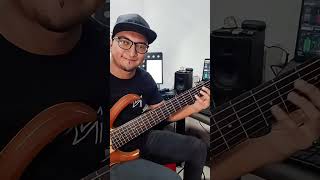 Imaginarme sin ti  Elvis Crespo  Bass cover [upl. by Irisa]