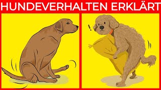 Die Bedeutung der 21 seltsamsten Hundeverhaltensweisen  Fantastische Fakten über Hunde [upl. by Olen326]