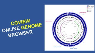 Bioinformatics for Beginners  Course  Genome visualization using the online CGView tool [upl. by Yrelbmik448]