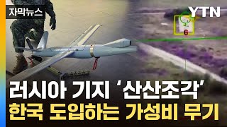 자막뉴스 지상전 최강자 무너뜨린 가성비 무기우리 軍도 실전배치  YTN [upl. by Annaeiluj157]