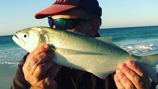 TAILOR FISHING ON A REMOTE BEACH WITH A BRILLIANT SUNRISE [upl. by Lleksah]