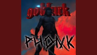 Gokturk Phonk [upl. by Notgnirrac]