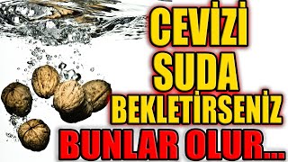 Cevizi Suda Bekletirseniz Vücudunuz Bu Faydaları Almış Olur [upl. by Coco734]