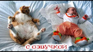 Приколы с котами С ОЗВУЧКОЙ КОТЫ И ДЕТИ Смешные животные РЖАКА ДО СЛЕЗ [upl. by Crane632]