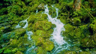 Mountain Forest Small Waterfall Screensaver No Sound — 10 Hours 4K UHD [upl. by Wixted]