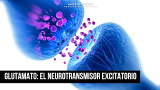 Glutamato El Neurotransmisor excitatorio que impulsa la comunicación cerebral de forma crucial [upl. by Arnuad485]