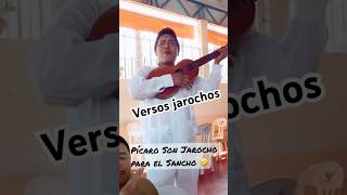 Versos groseros jarochos  picarones music voiceeffects pichones humor usa veracruz queen [upl. by Winifield]