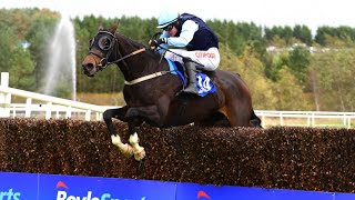 REAL STEEL lands Boylesports Munster National [upl. by Eberhart336]