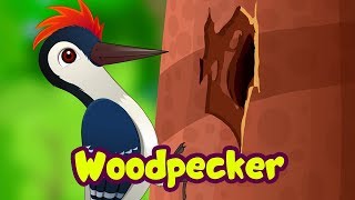 The Woodpecker Song  Bird Rhymes for Children  Infobells [upl. by Algie251]