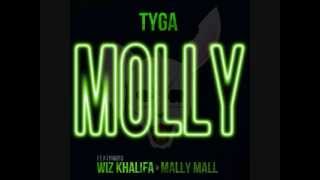 Molly  Tyga Ft Wiz Khalifa amp Mally Mall [upl. by Eleynad]