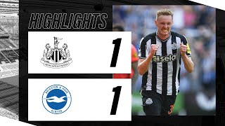 Newcastle United 1 Brighton and Hove Albion 1  Premier League Highlights [upl. by Nanoc]