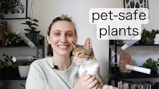 MY FAVOURITE PET SAFE PLANTS [upl. by Ohnuj]