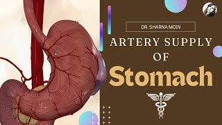 05 Artery Supply of Stomach  Stomach Anatomy [upl. by Thamos385]