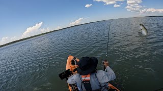 The Quest for Eastern Shore Virginia Tarpon From Kayak [upl. by Idet]