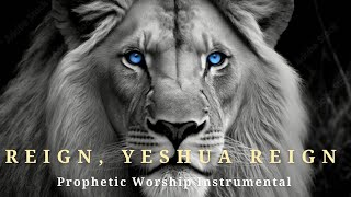 Prophetic Warfare Instrumental Worship REIGNYESHUA REIGNBackground Prayer Music [upl. by Ennaoj]