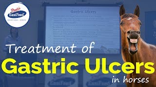 Treatment of Gastric Ulcers in horses [upl. by Opiak915]