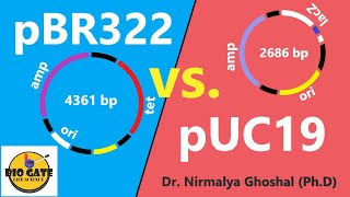 pBR322 vs pUC19 animation cloning csirnet [upl. by Lynna321]