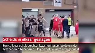 Scheids in elkaar geslagen tijdens basketbalwedstrijd Willebroek [upl. by Royd]