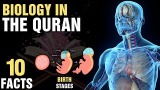 10 Surprising Biological Miracles In The Quran [upl. by Anelleh]