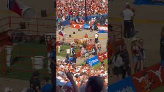 “Texas Fight” Song before 2024 Red River Rivalry at Cotton Bowl Stadium for UT vs OU football game [upl. by Noired23]