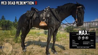 A Perfect Black Race Horse for Arthur  Black American Standardbred  RDR2  PS4 Slim [upl. by Oigroeg]