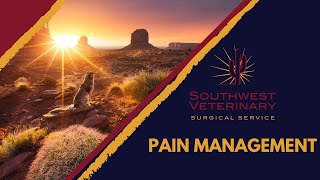 SVSS Pain Management [upl. by Laemaj]